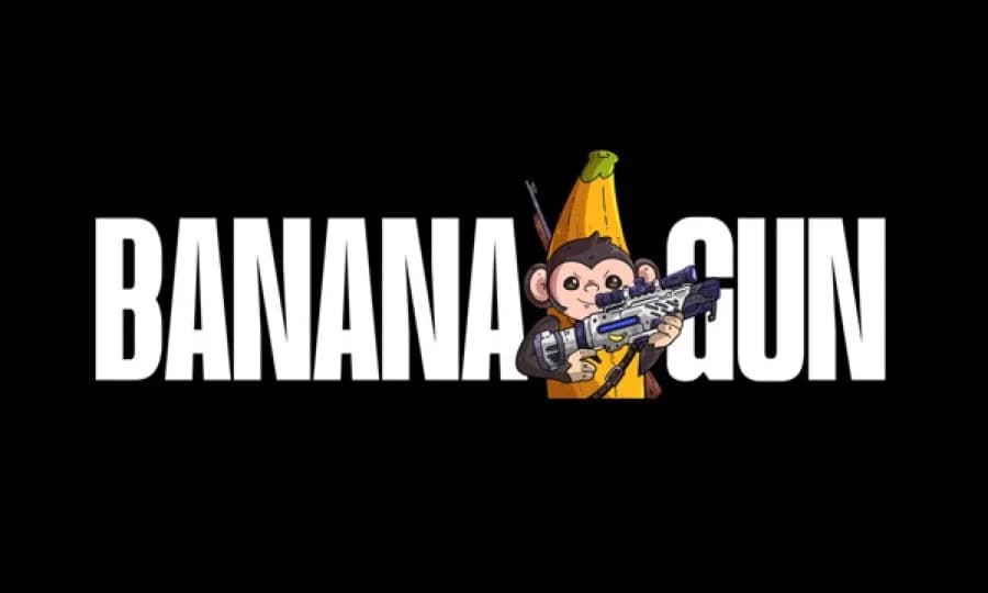 Banana Gun's $3M Security Incident